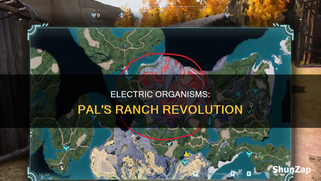 what pal gives electric organs in ranch
