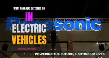 Panasonic Batteries: Powering Electric Vehicles?