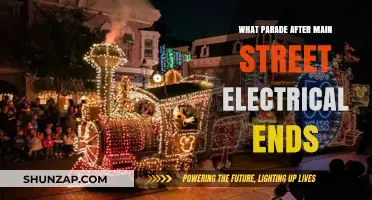 Disney's Magical Nighttime Parade Extravaganza