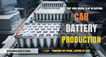 Nickel's Role in Powering Electric Vehicle Battery Production