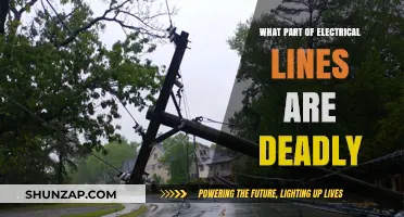 Understanding the Lethal Components of Electrical Lines