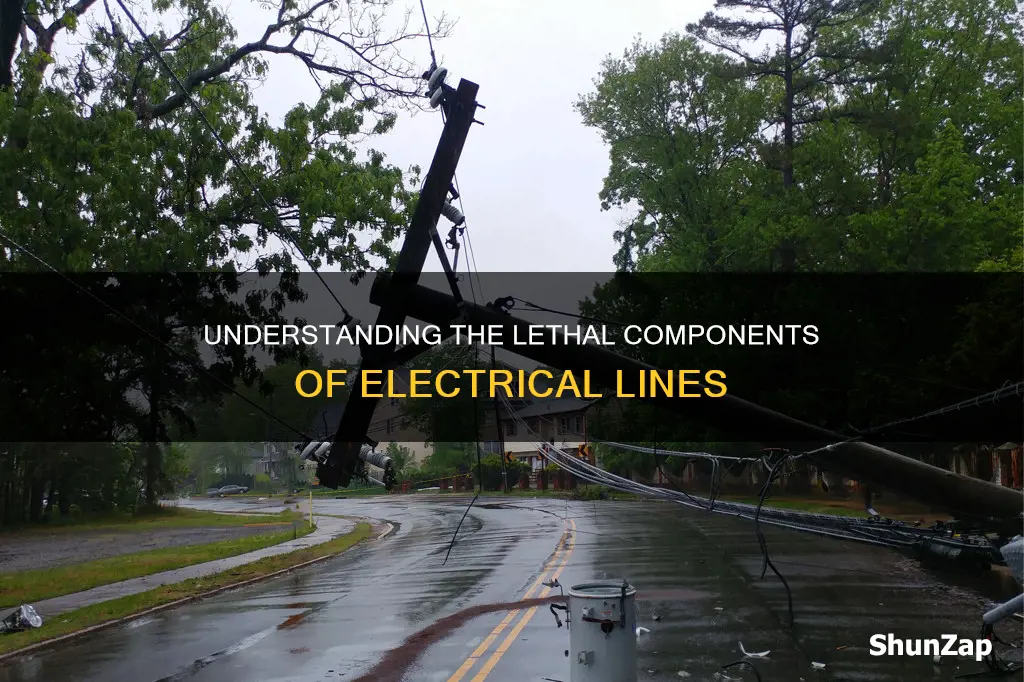 what part of electrical lines are deadly