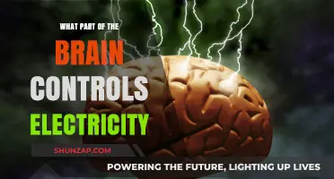 Brain Electricity Control: Unlocking the Mind's Power Source