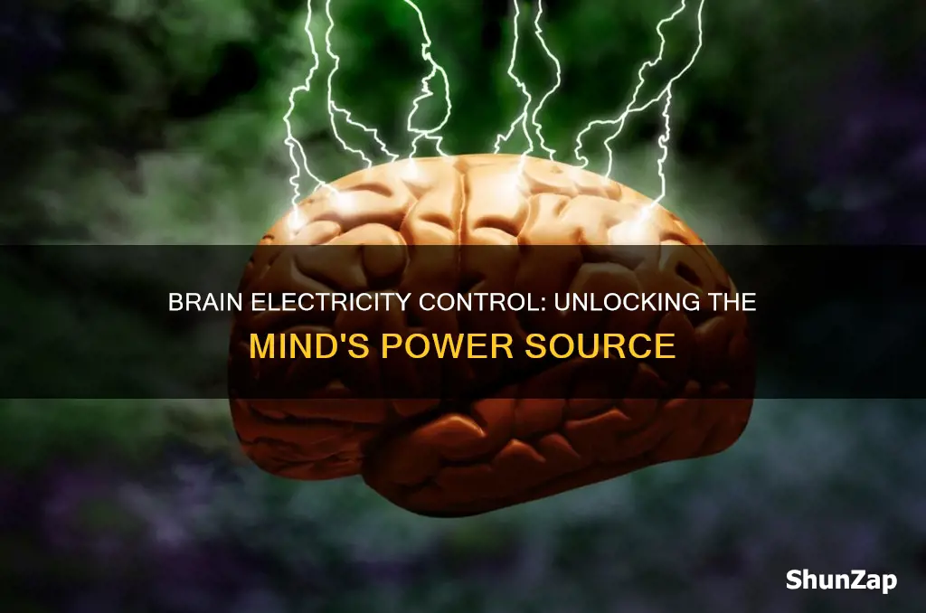 what part of the brain controls electricity