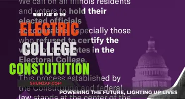 The Electric College Constitution: Understanding its Intricacies