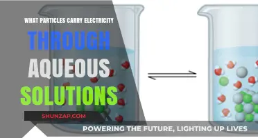 How Ions Carry Electric Current in Aqueous Solutions