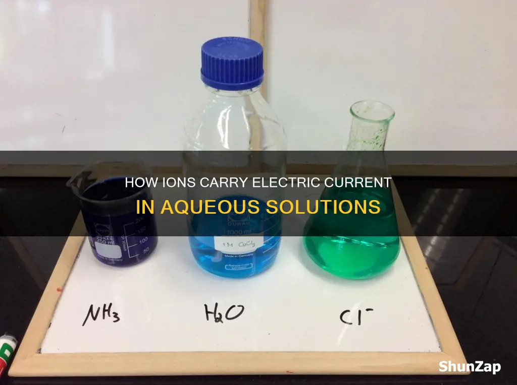 what particles carry electricity through aqueous solutions