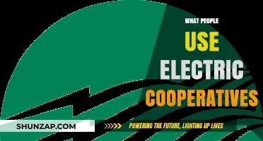 Why Communities Choose Electric Cooperatives for Reliable, Affordable Power