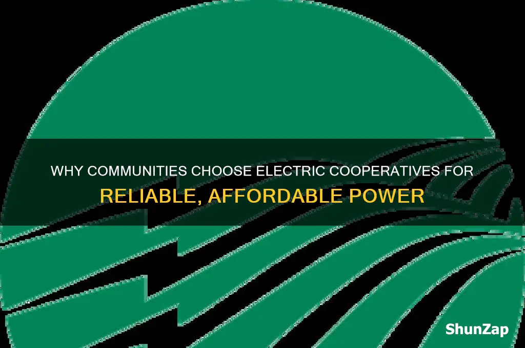 what people use electric cooperatives