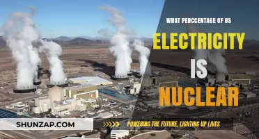 Nuclear Power's Share in the US Energy Mix