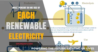Unlocking Renewable Potential: How Much of Each Source Powers Our World?