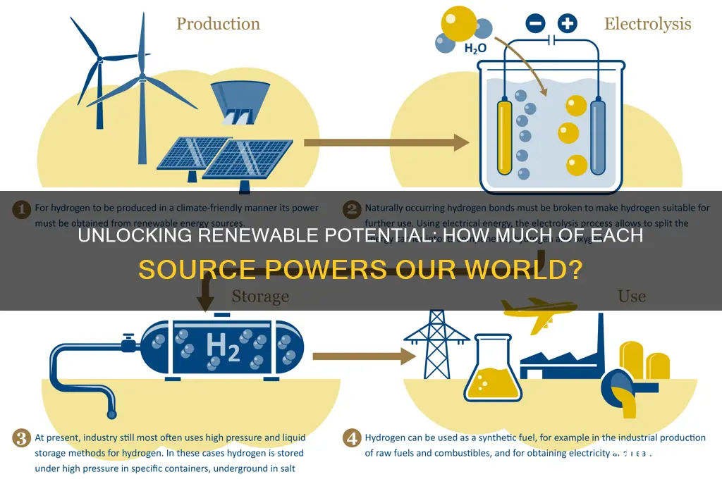 what percent do we use of each renewable electricity