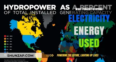 Hydro Power's Role: What Percent of Global Energy is Hydroelectric?