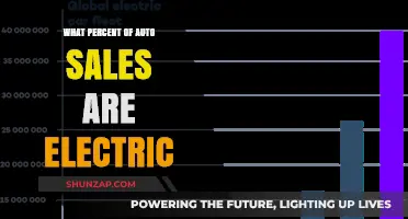 Electric Cars: What's Their Market Share?