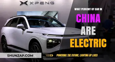 China's Electric Vehicle Revolution: Unveiling the Percentage of EVs on Roads