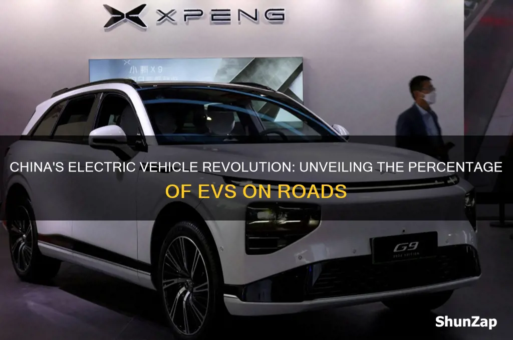 what percent of car in china are electric