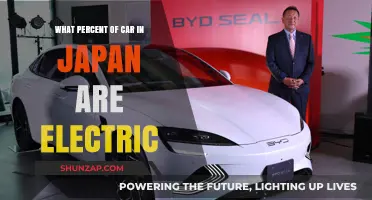 Electric Vehicles in Japan: Current Adoption Rates and Trends
