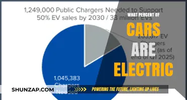 Electric Vehicles Rising: Understanding Their Percentage in Today's Auto Market