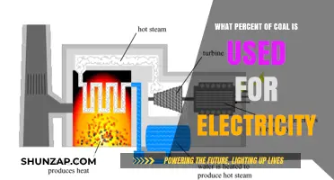 Coal's Role in Power Generation: Percentage Used for Electricity