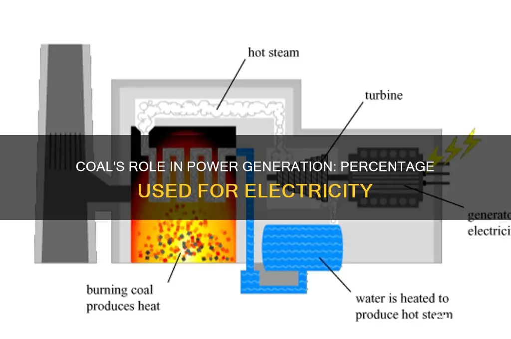 what percent of coal is used for electricity