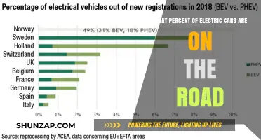 Electric Vehicles Rising: Current Percentage on Roads Worldwide