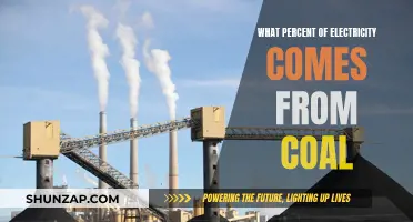 How Coal Impacts Electricity Generation Globally