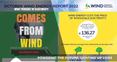 Wind Power's Share in Electricity Generation