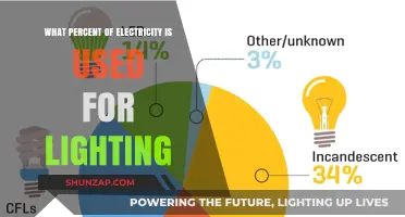 How Much Electricity is Consumed by Lighting in Homes and Businesses?