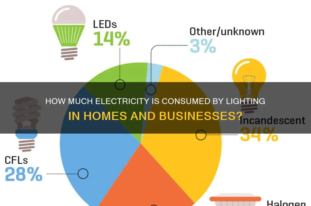 what percent of electricity is used for lighting