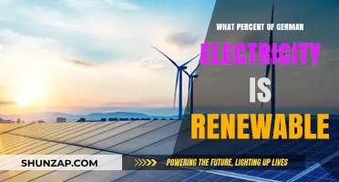 Germany's Green Energy Transition: How Far?