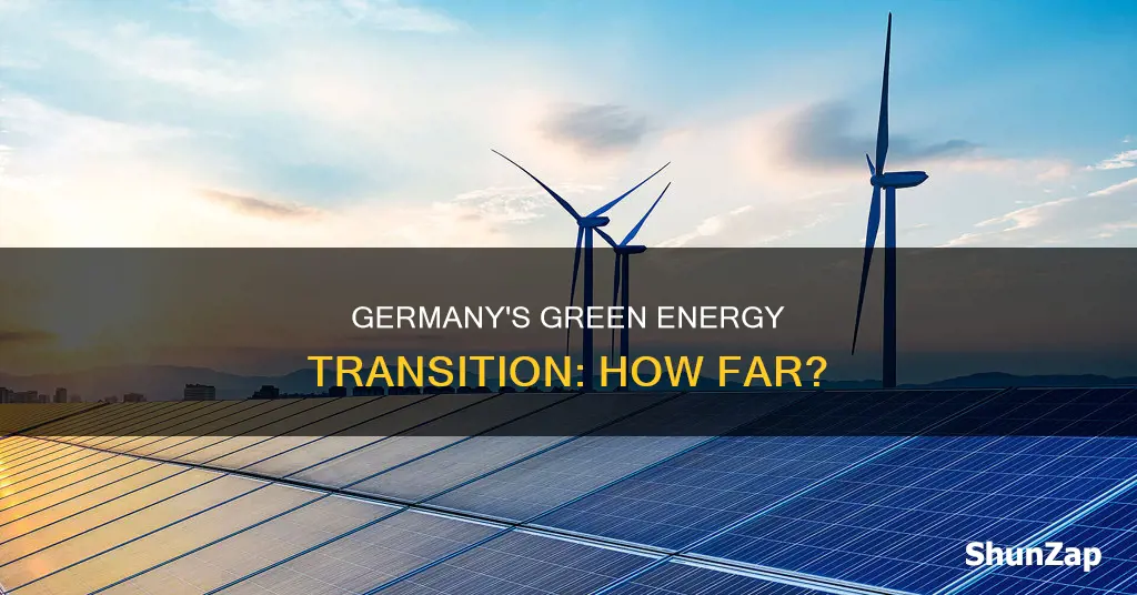 what percent of german electricity is renewable