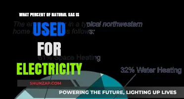 Natural Gas in Power Generation: Electricity Usage Percentage Explained