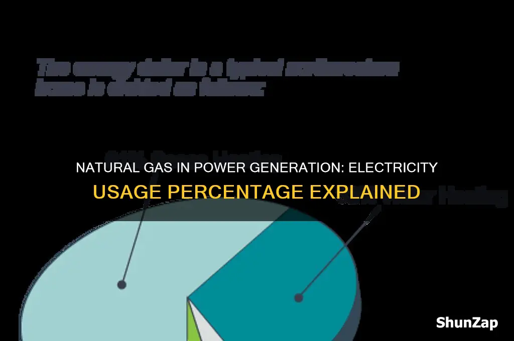 what percent of natural gas is used for electricity