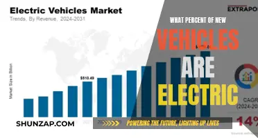 Electric Cars: The Future of Automotive Industry?