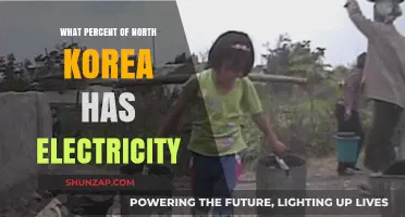 Electricity Access in North Korea: A Rare Glimpse