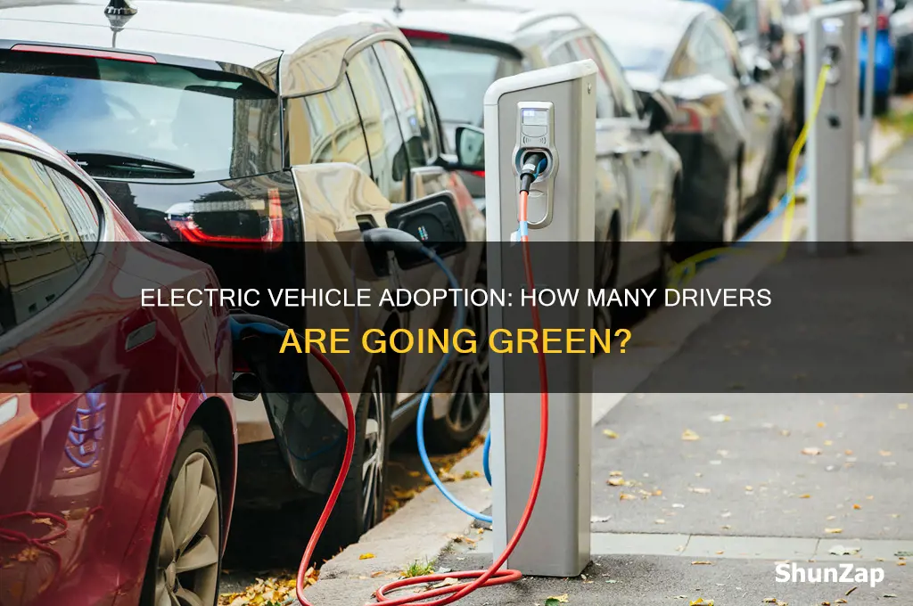 what percent of people drive electric caras