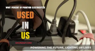 Phantom Electricity Usage in the US: Uncovering the Hidden Percentage