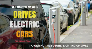 Global Shift: How Many Drivers Are Going Electric Worldwide?