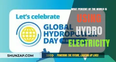 Global Hydropower Usage: How Much of the World Relies on Hydro Electricity?