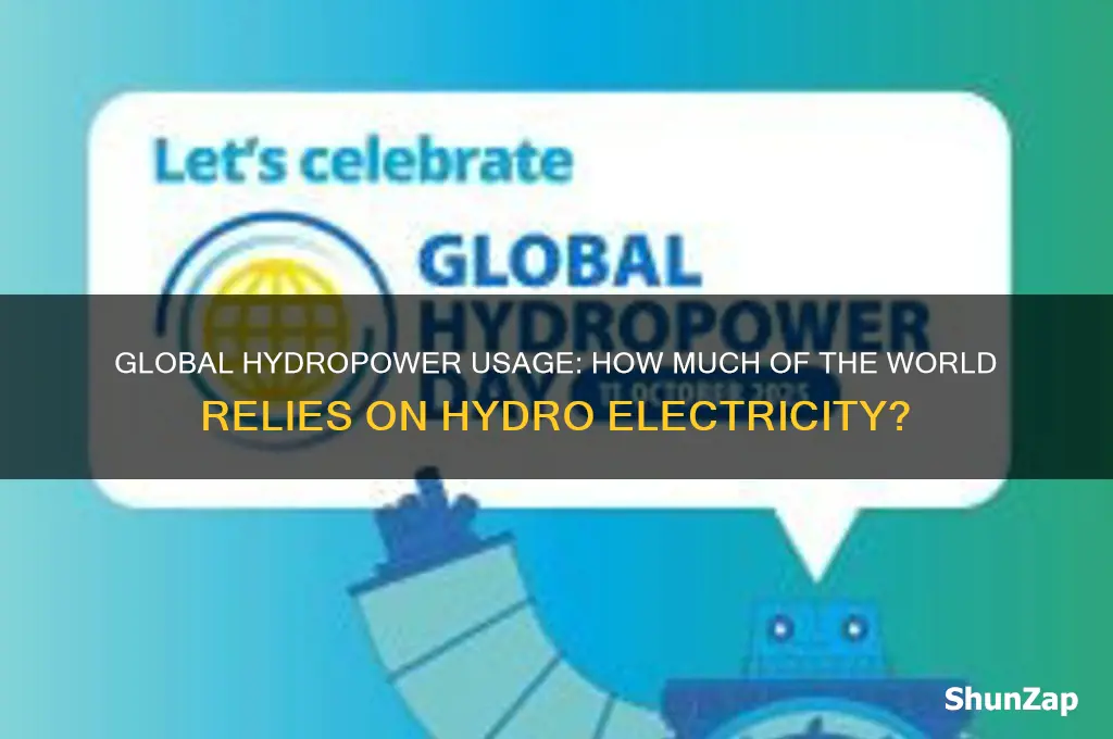 what percent of the world is using hydro electricity