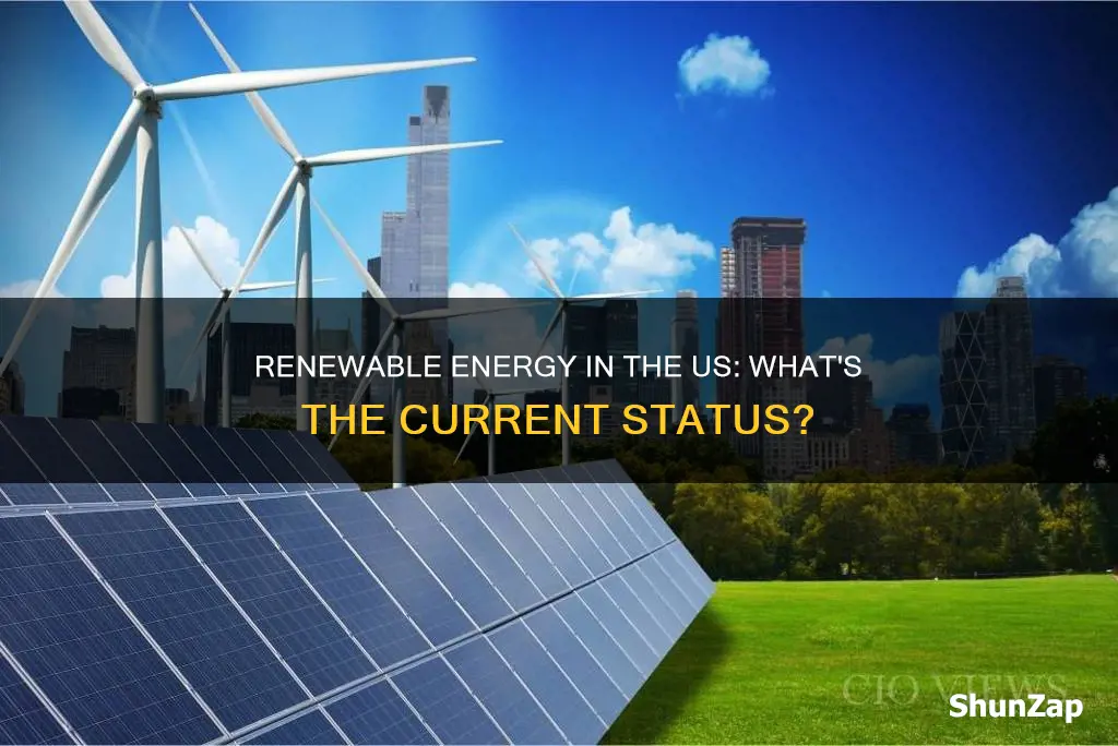 what percent of us electricity is renewable