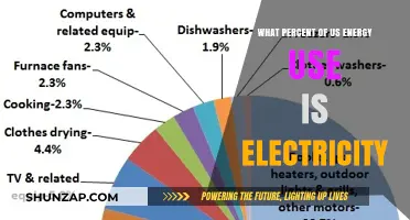 Electricity's Role: Understanding Its Share in America's Energy Consumption