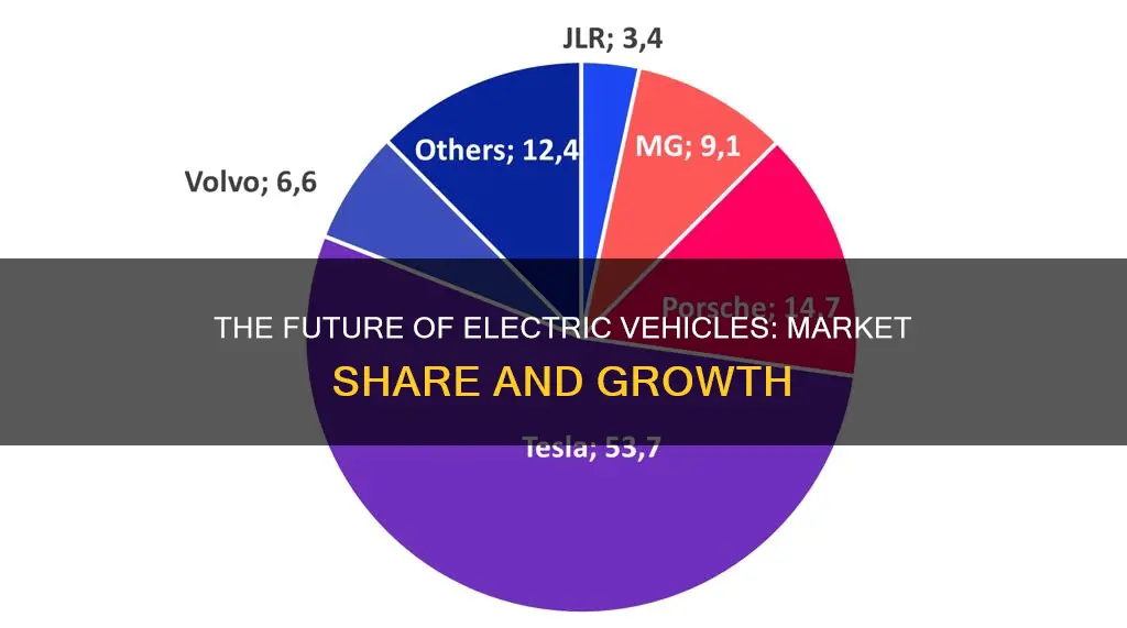 what percent of vehicles are electric