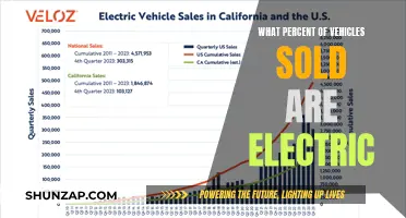 Electric Vehicles: Taking Over the Roads?