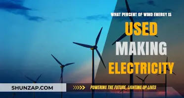 How Much Wind Energy Powers Electricity Generation Worldwide?