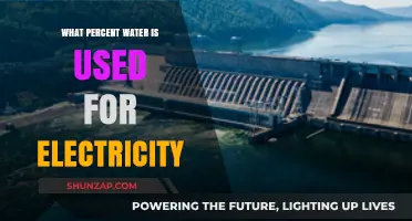 Water's Role in Power Generation: Understanding Electricity's Hydration Needs