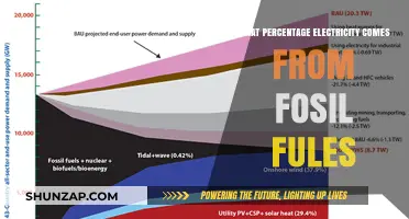 Fossil Fuels' Electricity Generation: What's the Percentage?