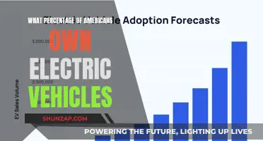 Electric Vehicle Ownership: The American Shift to Green Transportation