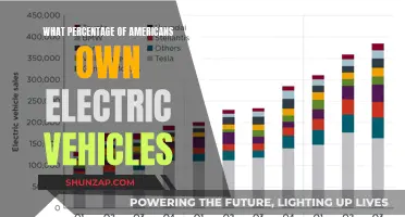 Electric Vehicle Ownership in America: Who's Driving the Change?