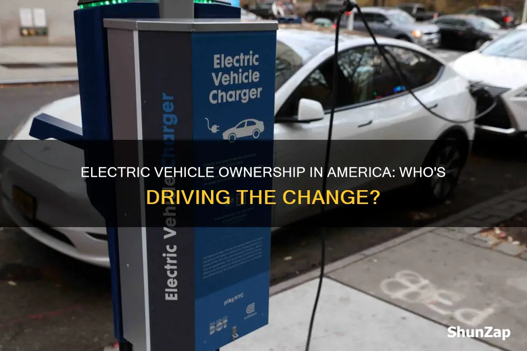what percentage of americans own electric vehicles